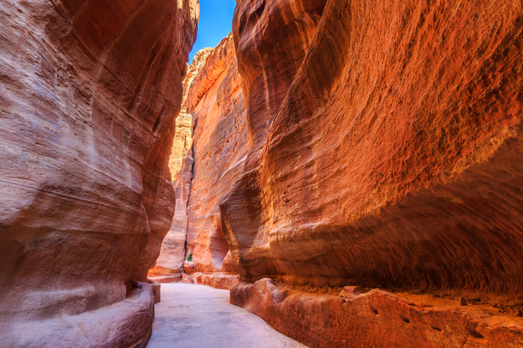 The Siq corridor at Petra, Jordan — narrow path through layered sandstone walls — hero image for "The Layer SAP and IBM Cannot Build From Inside," Article 1 in TheLayerTheyCannotBuild series by Raghu Vishwanath.