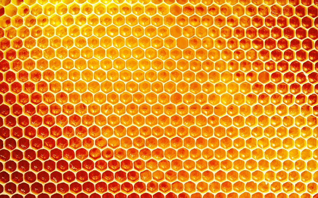 A fill-frame honeycomb in natural backlit tones from deep red through amber to gold — densely packed uniform cells, each the same governed shape and complete, none duplicated, a metaphor for item master data where each thing exists once and means the same to everyone.